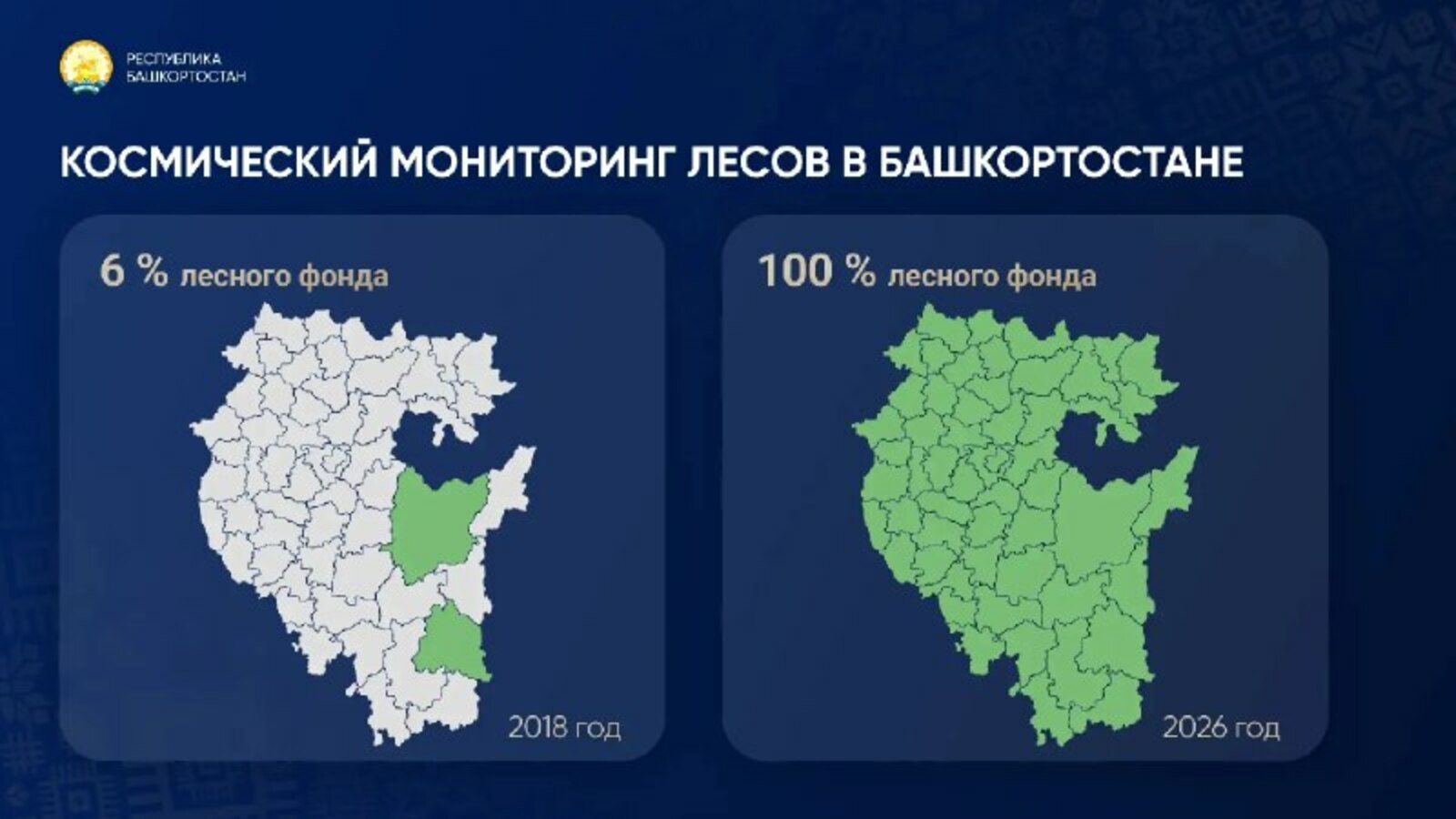 В Башкирии 100% леса находится под космическим мониторингом