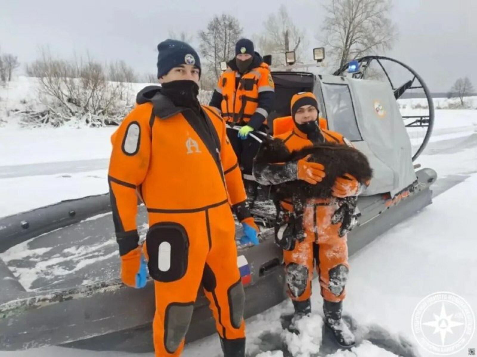В Башкирии одна овца из стада, провалившегося под лед, выжила
