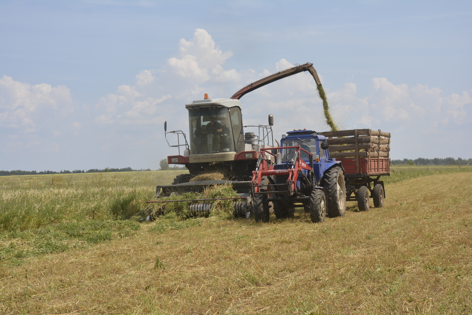 Всему основа - качественный корм