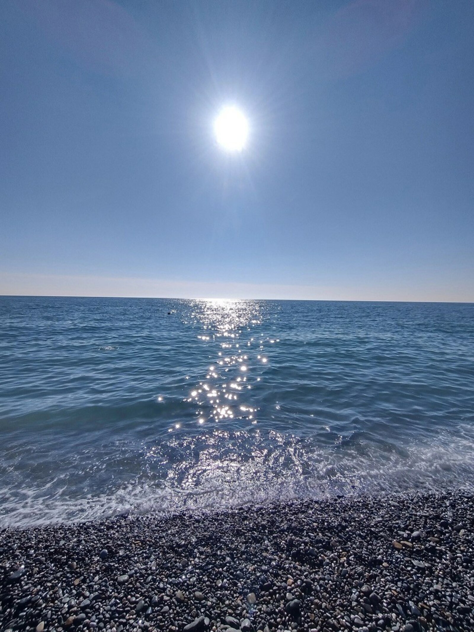 Как получить путёвку в «Артек»