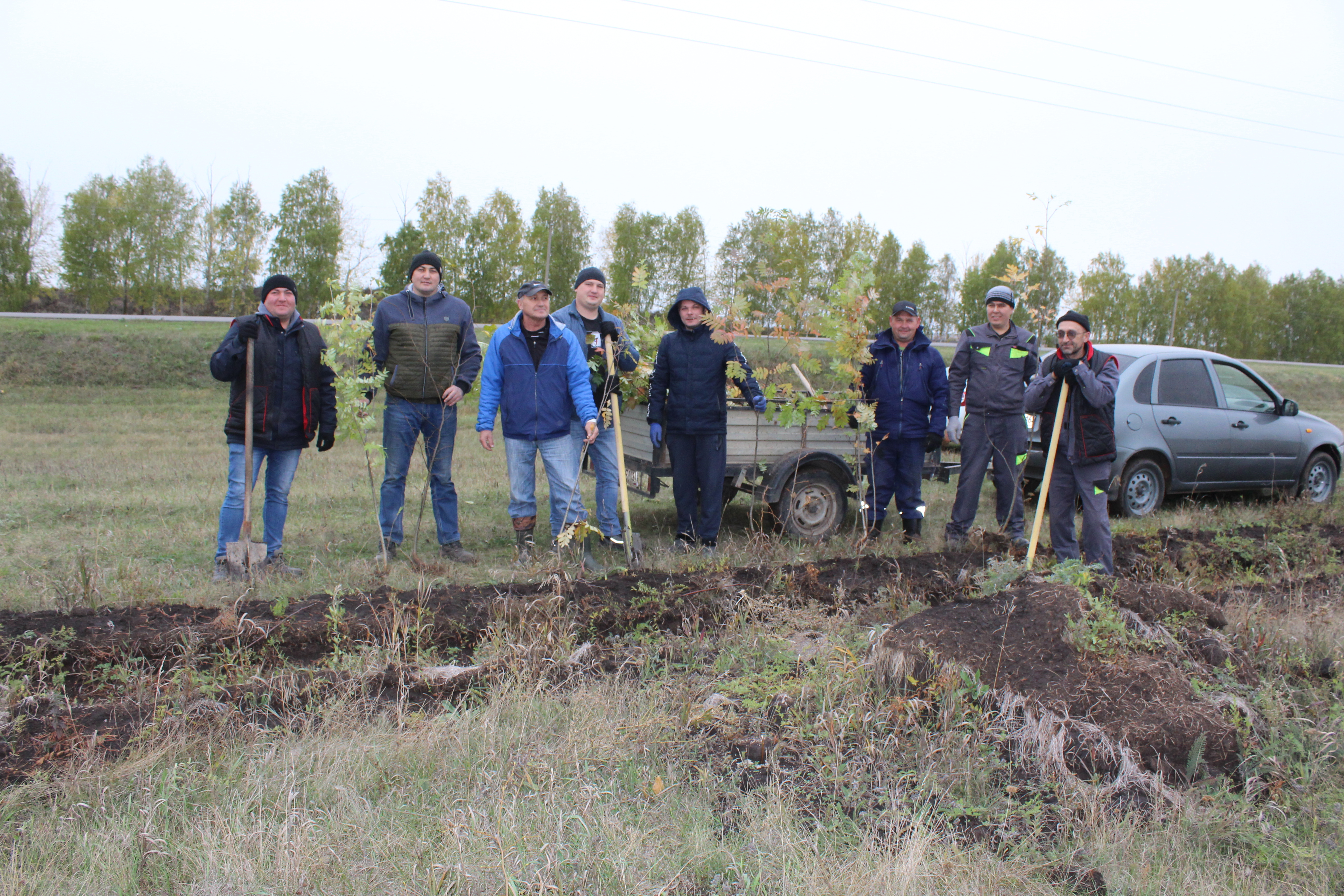 Вдоль карьера Бакалинского кирпичного завода высажено 200 деревьев