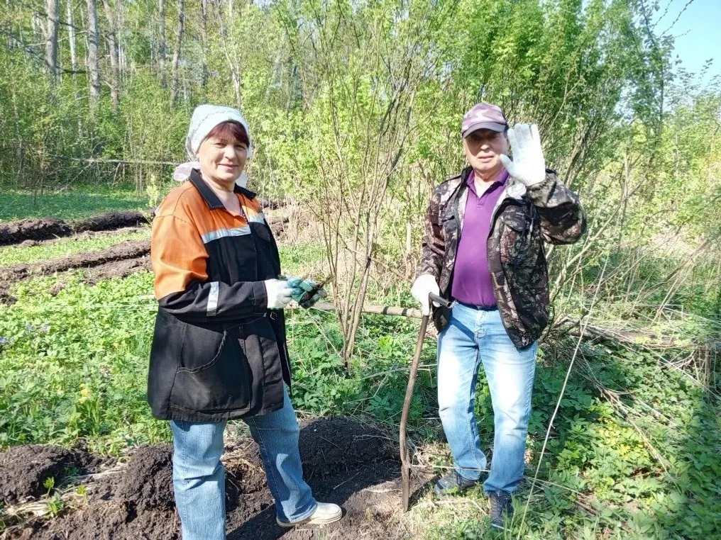 6000 деревьев в честь Великой Победы и в память о ветеране-долгожителе