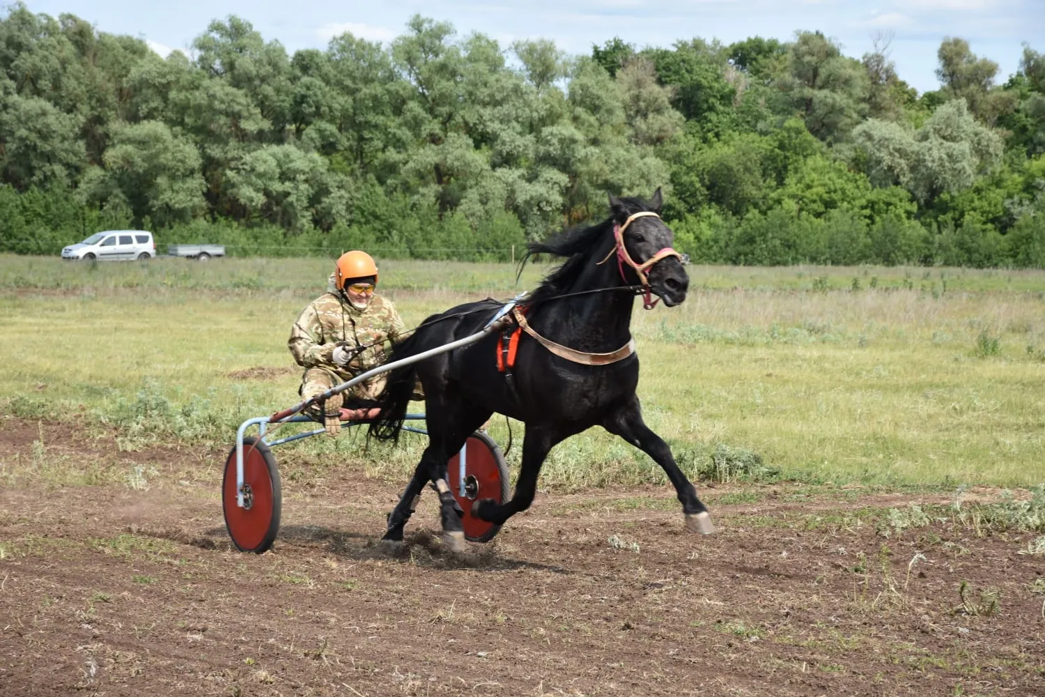 Конные скачки у реки Сюнь