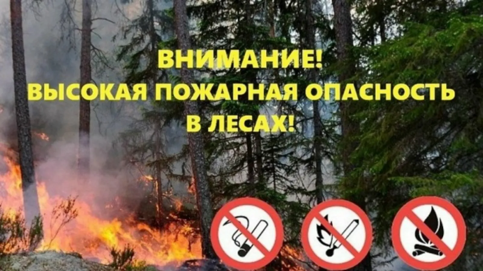 В Бакалинском районе с 14 мая введен четвертый класс пожарной опасности лесов