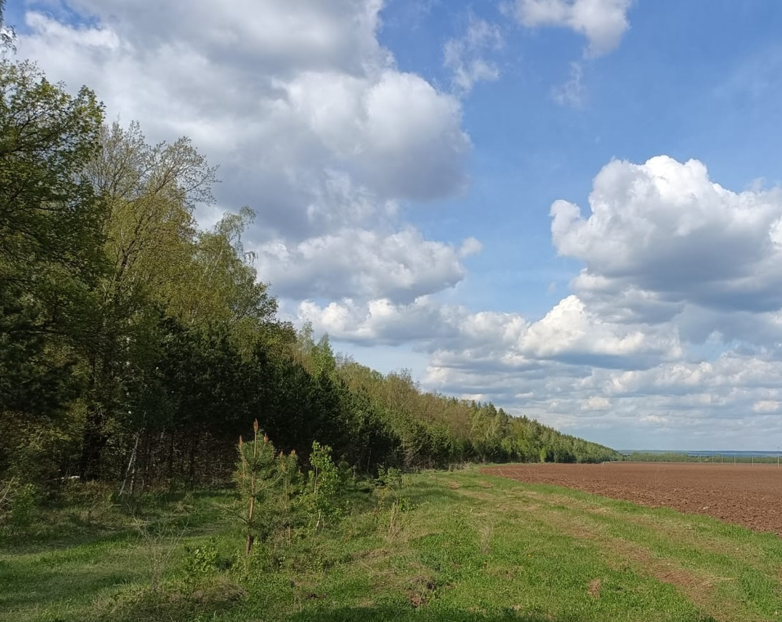 Главное  о пожароопасной обстановке в лесах Башкирии