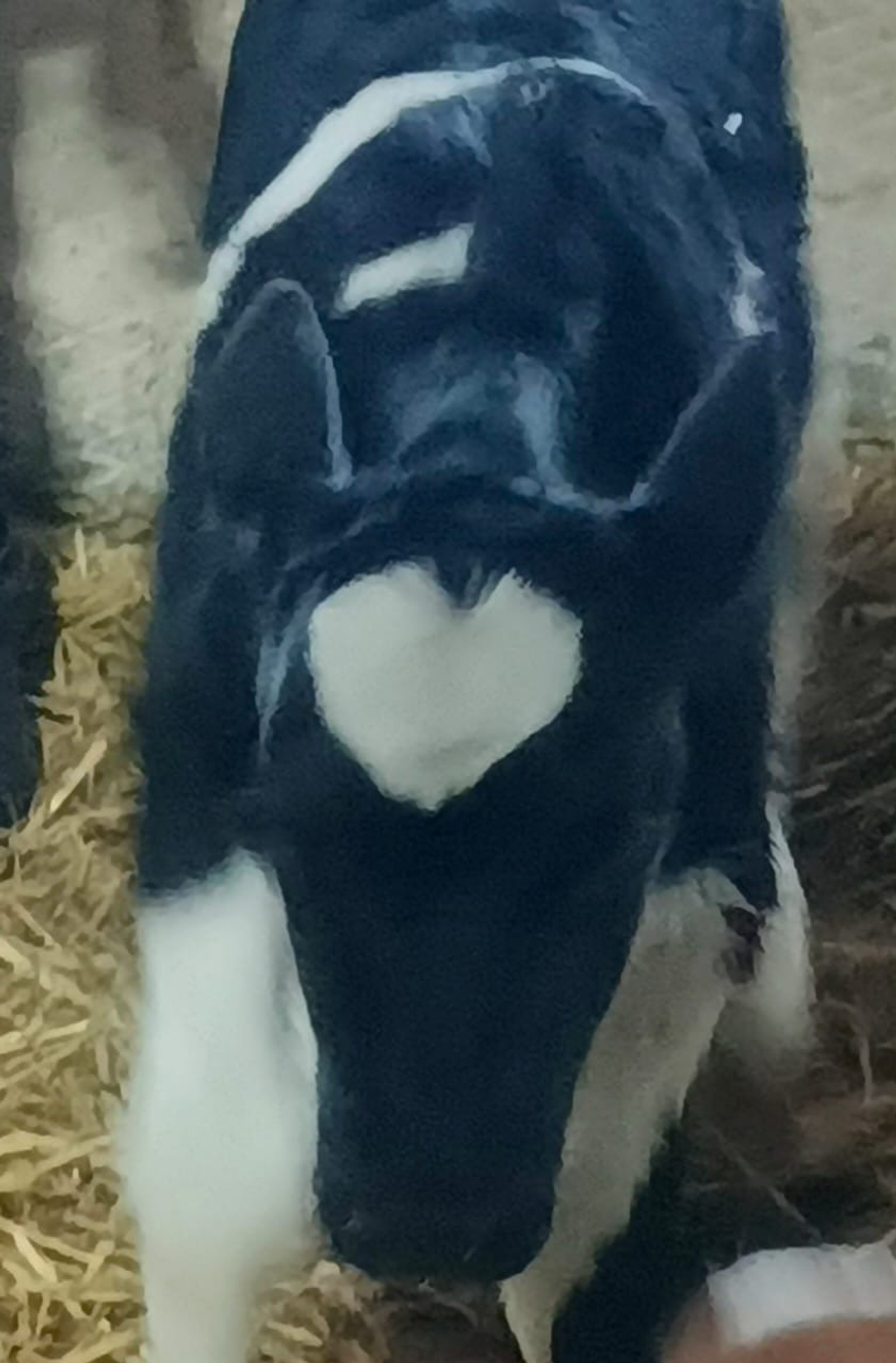 Зульфия Сидорова