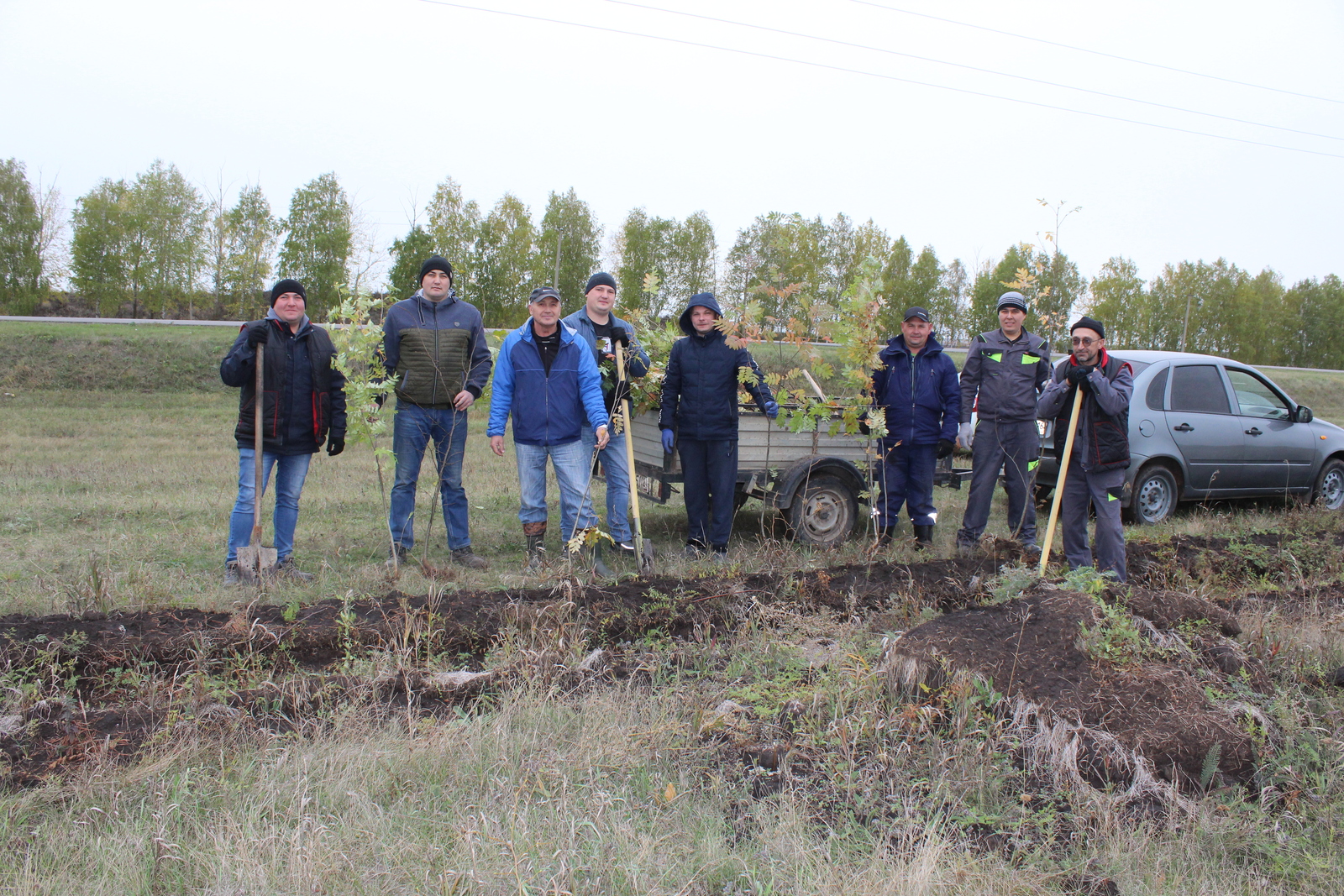 Вдоль карьера Бакалинского кирпичного завода высажено 200 деревьев
