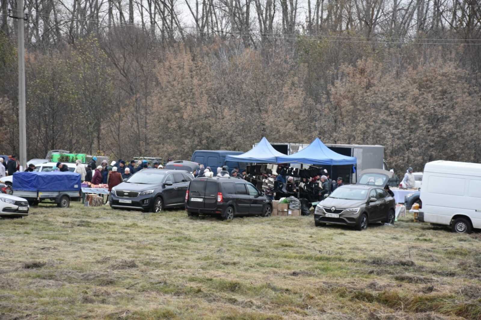 Сельскохозяйственная ярмарка